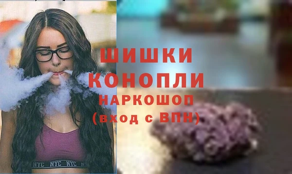 PSILOCYBIN Гусь-Хрустальный