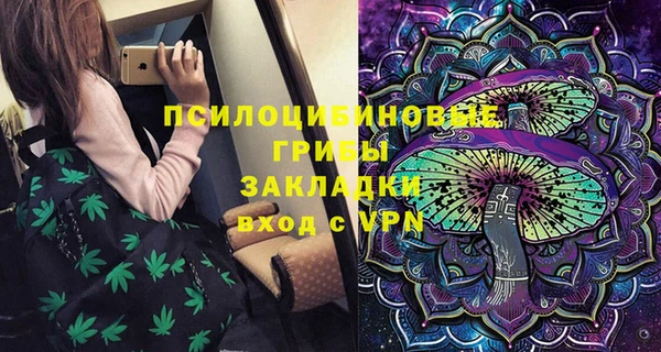 PSILOCYBIN Гусь-Хрустальный