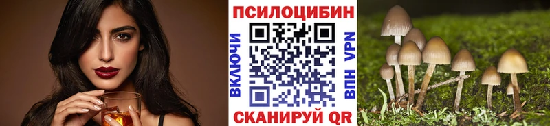 omg зеркало  Невинномысск  Псилоцибиновые грибы Magic Shrooms 